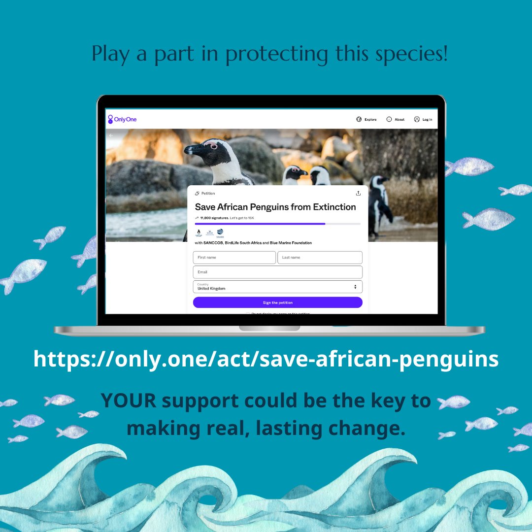 Global Rewilding Alliance tweet media