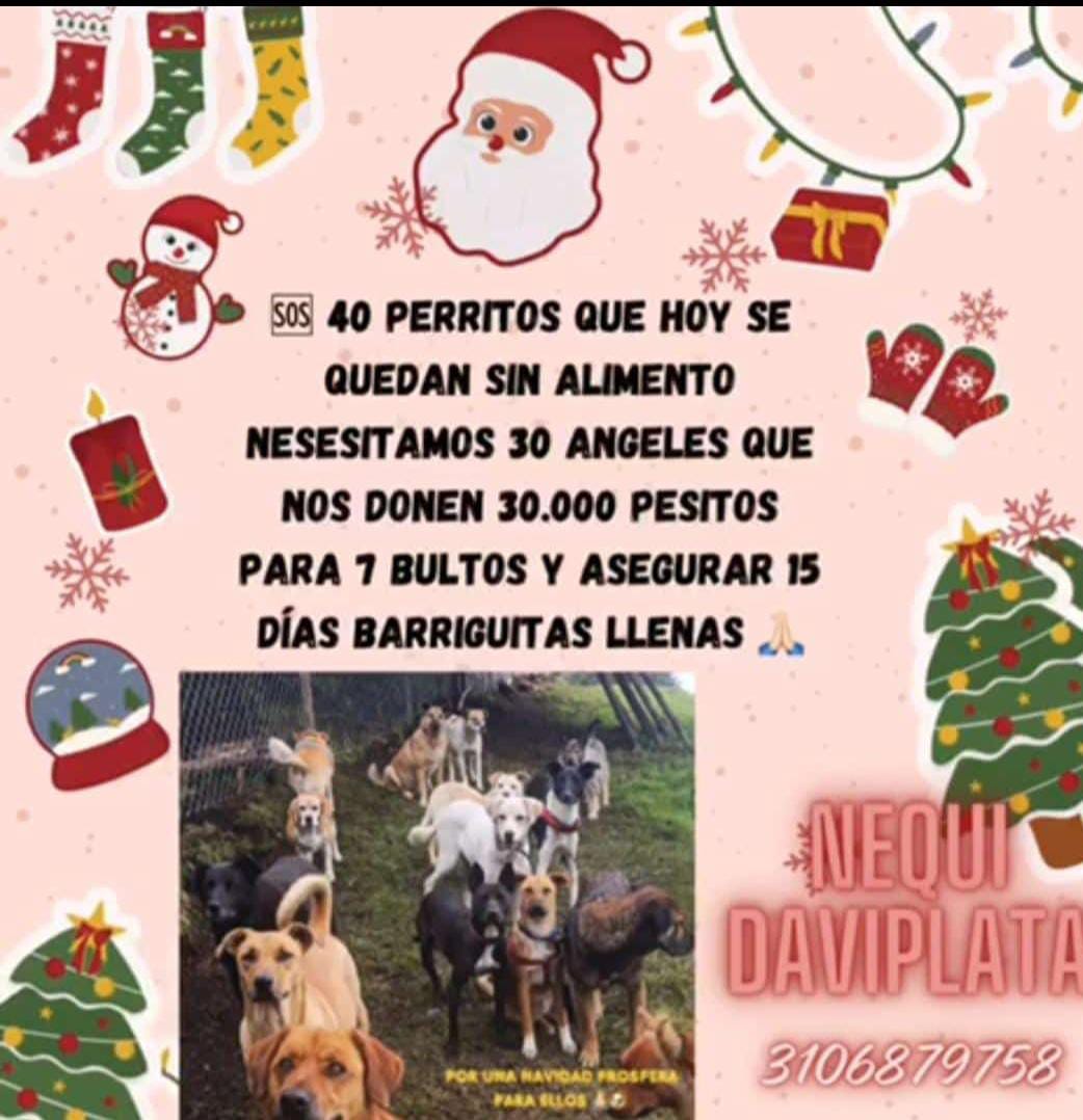 angeles_sinvoz's tweet photo. Nesesitamos ayuda por favor jamás nos habíamos quedado literal sin comida para ellos mañana no tienen absolutamente nada y ellos saben su horario de esperar su comida 🥹 https://t.co/RTkYMBu3HL