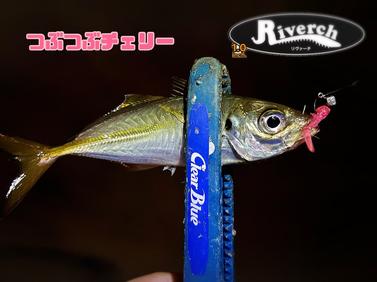 gaku_lightgamer's tweet photo. 朝活の部
相変わらず北風爆風だけど正面の風なのでわりかし手前にいる☺️
ただ正面の風でJHが沈んでレンジが下がりやすくなるため、リヴァーチの沈降スピードを抑えるように偏平面を下にするとポツポツ拾える😘
あぁ、寒かった🥶
#FISHLABO
#フィッシュラボ
#横浜アジング
#アジング https://t.co/beunKcOlva