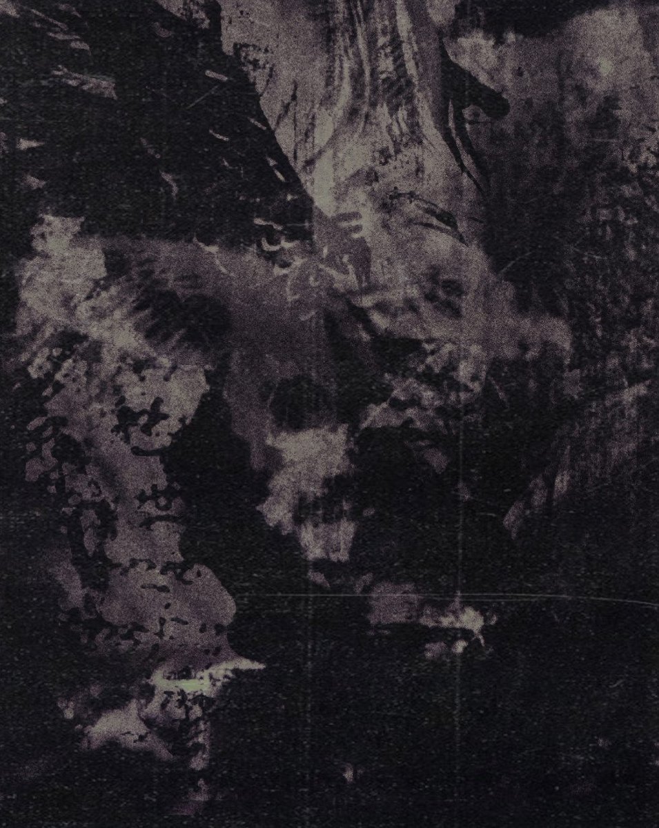 ‎ ‎ ‎ ‎ ‎‎ ‎𝓥ᵢₖt̲o̲r̲ tweet media