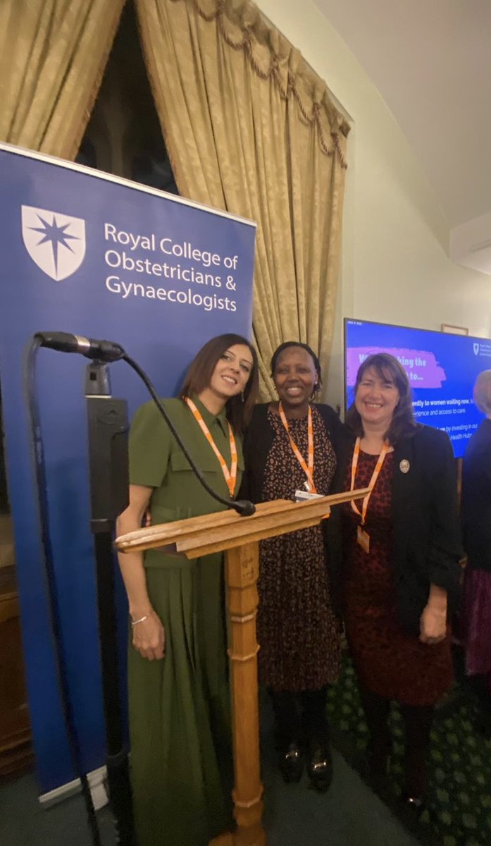 Evening at the House of Commons Parliament Westminster! Proudly representing the expert panel of professionals for RCOG to reduce gynaecology waiting times. Hoping to influence the new UK policy for the future 👏🏻👏🏻👏🏻