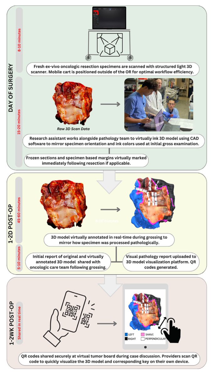 Fantastic to see the power of 3D data visualization positively impacting multidisciplinary tumor boards <a href="/VanderbiltENT/">VUMC Otolaryngology–Head and Neck Surgery</a>! <a href="/fassler_carly/">Carly Fassler</a> <a href="/marina_aweeda/">Marina Aweeda</a> <a href="/LockneyNatalie/">Natalie Lockney</a> <a href="/mitra_mehrad/">Mitra Mehrad</a> <a href="/TopfHNS/">Michael Topf MD, MSCI</a> 

Please check out this important research: onlinelibrary.wiley.com/doi/epdf/10.10… 

#HeadAndNeckCancer