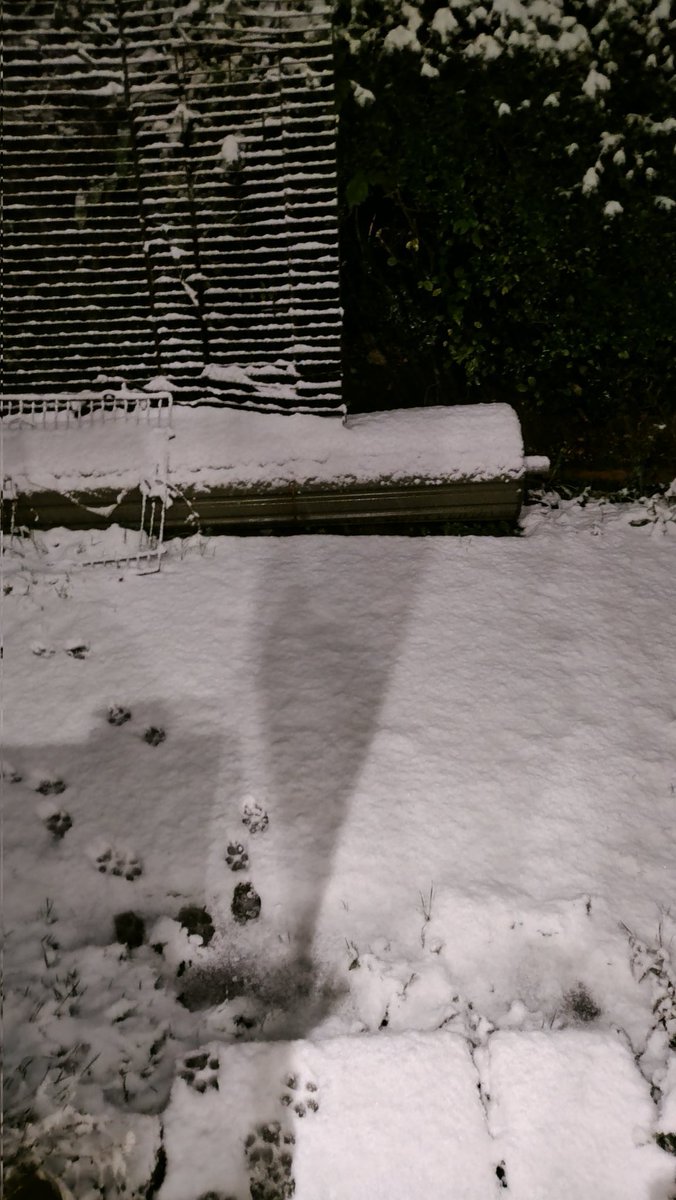 Jen Heard tweet media