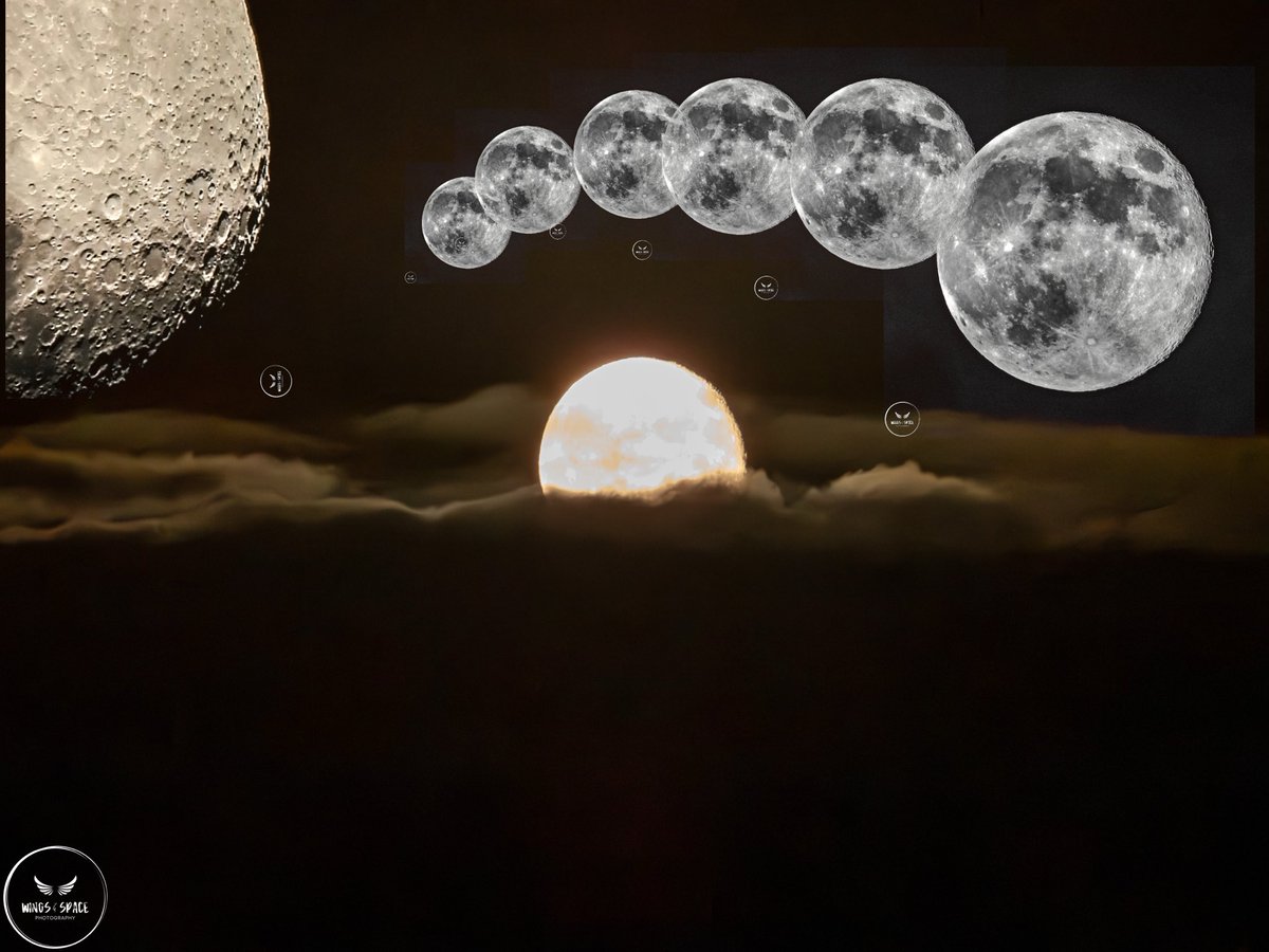 qooᴎꙄʏqooᴎꙄɘʜT (@thesnoopysnoop) on Twitter photo When you just can’t get enough of the Moon
<a href="/MoonHourSocial/">#MoonHour™️Social</a> #moonhour When you just can’t get enough of the Moon
<a href="/MoonHourSocial/">#MoonHour™️Social</a> #moonhour
