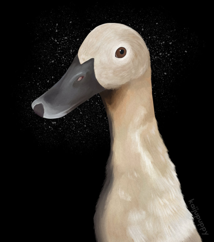 Artfight for Rain_OrSomething 🦆