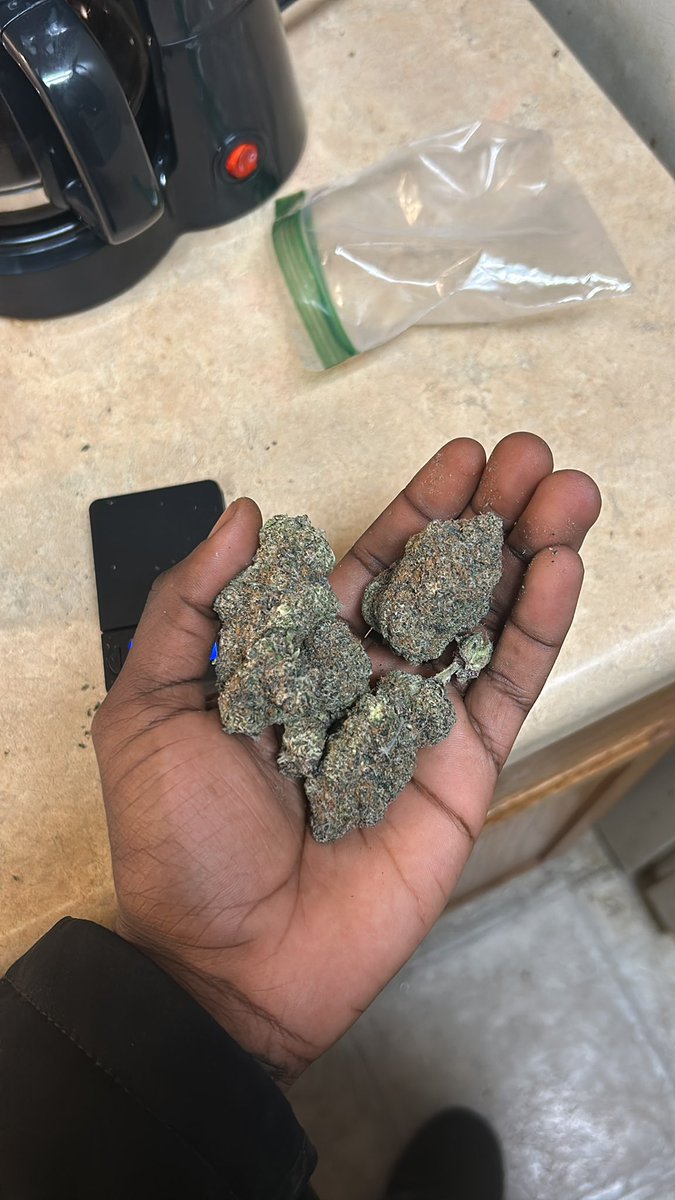 meezwopp1's tweet photo. Would yall believe dis was a half? https://t.co/sT3PJtrCDN