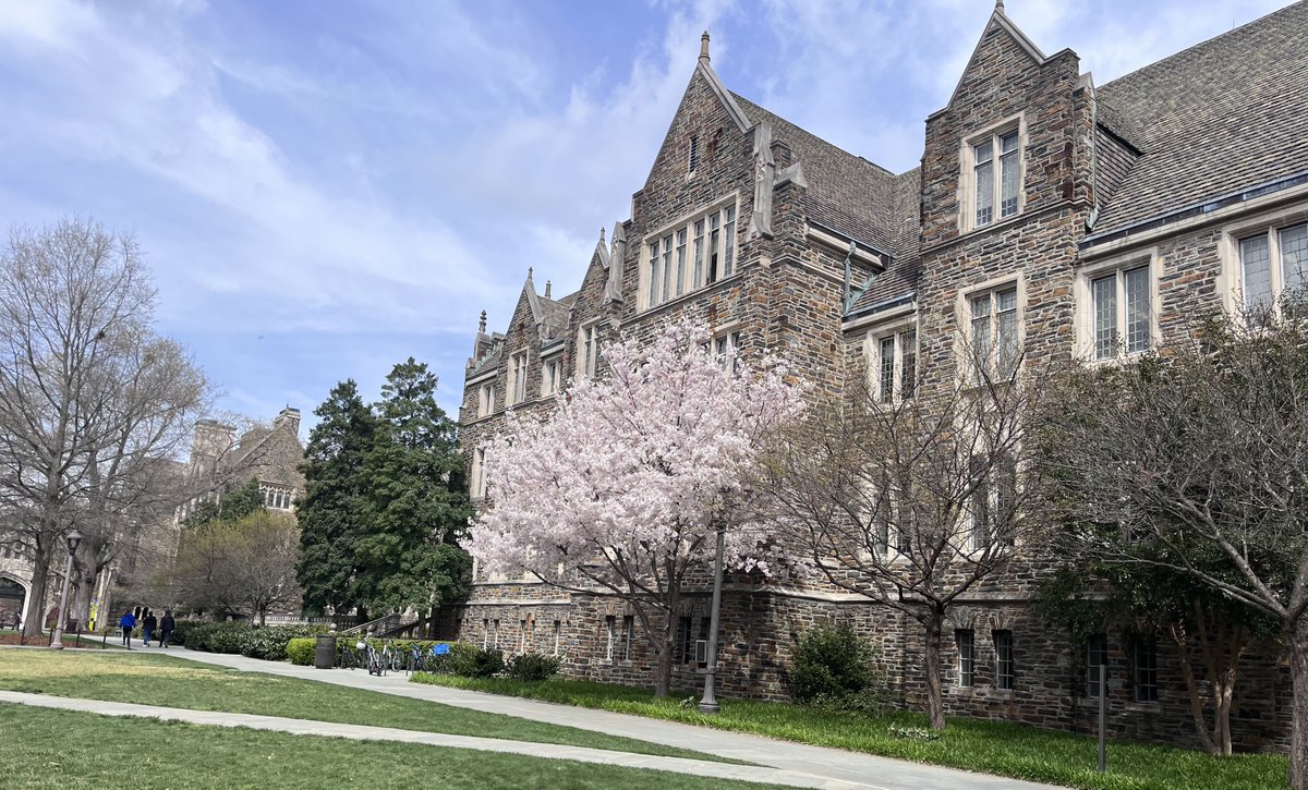 MonicaNAgrawal's tweet image. I am recruiting PhD students at Duke!
Please apply to @dukecompsci or Duke CBB if you are interested in developing new methods and paradigms for NLP/LLMs in healthcare.
For details, see here: monicaagrawal.com/home/research-…. Feel free to retweet!