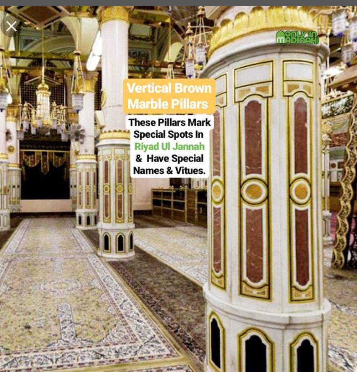 faraastyle's tweet photo. @HajMinistry شكوى عاجلة - موظفو السترات البرتقالية في الروضة!! إنهم بغيضون وعنصريون ويظهرون المحسوبية! لقد طبقتم قيوداً قاسية على الأمة تصريحاً واحداً في السنة، وأعطيتم معلومات كاذبة عن الوقت المحدد ومعلومات كاذبة عن مكان الروضة! https://t.co/0mzsTdSoFB