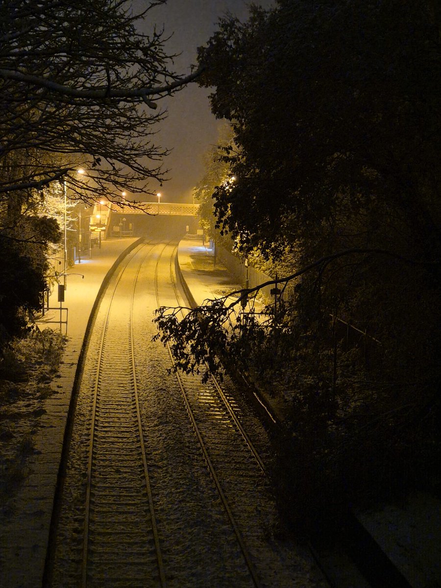 Hi <a href="/networkrail/">Network Rail</a> <a href="/tfwrail/">Trafnidiaeth Cymru Trenau Transport for Wales Rail</a> There's a broken tree down on the line/platform at Ruabon station. My other half is trying to ring to advise as well but thought I'd message on here too #northwales #Ruabonstation #tfw #Ruabon