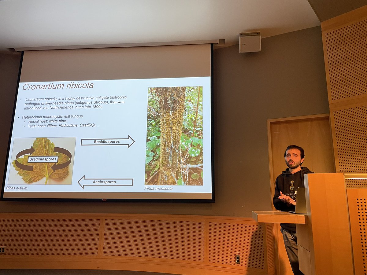 No #plantdisease meeting is complete without a #rust #treedisease talk on “Unravelling the life cycle of #whitepineblisterrust” <a href="/phytopathca/">CPS</a> #cpsbc2024