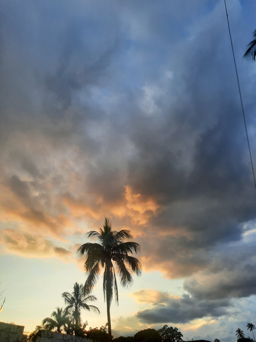 Tardecita  de Lunes ..
En este hermoso  campo ..

Bendecida Noche 
🙏💙