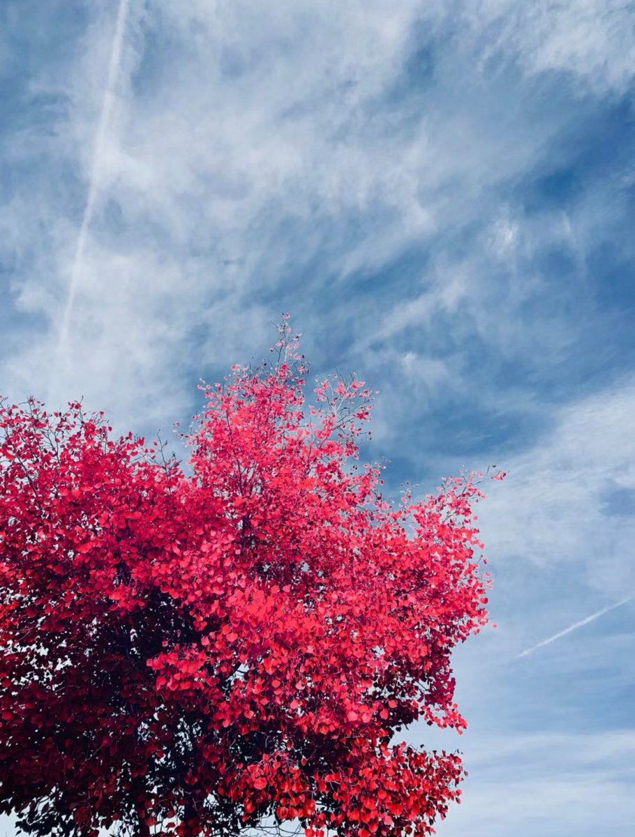 لكل من قال          امين 
اللهم أحفظنا مما     نخافه
 حفظا عاصما
 واكفنا شر    معصيتك
واجعلنا هادين      مهتدين
 إلى طاعتك
  وأجعلنا أرضى خلقك    بك
وأشكرهم   لك
 وأقربهم        منك
وأحبهم        إليك
 يارب أسعدنا بما تحتاجه أنفسنا
وأنت تعلم السر وما     يخفى