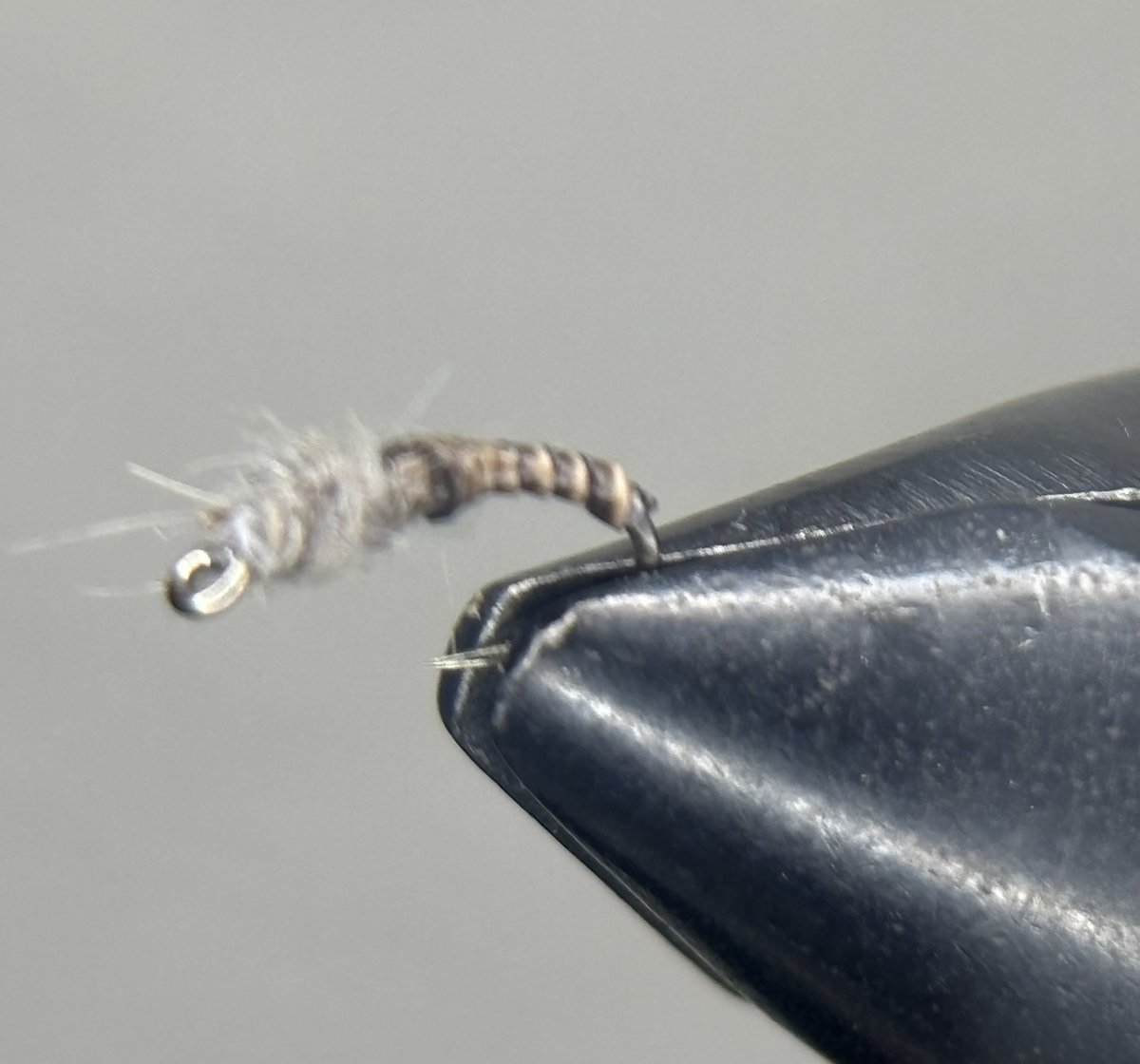 Alpine_flies's tweet photo. Yet another highly efftive pattern I created for the western United States this is my go to midge nymph simplistic yet effective link if you want some https://t.co/rOguwxhqby

#flyfishing #flyfishingtrout #flytying #fishing #fishing_frenzy #trout #midgenymph https://t.co/4VU3CEd9kv