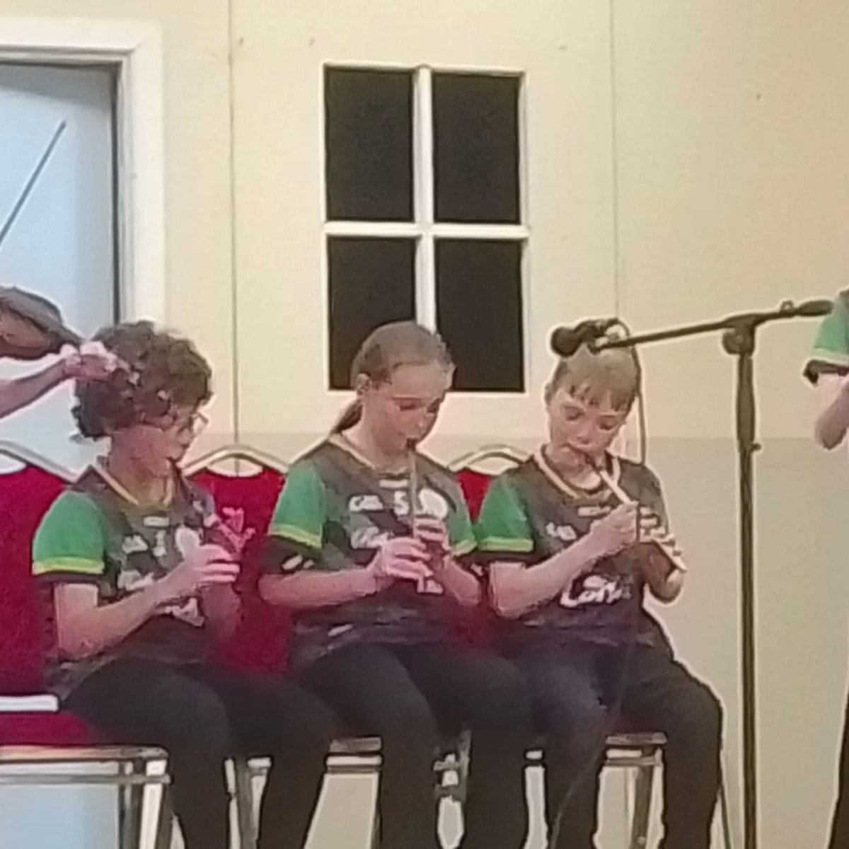 Setanta Ceatharlach Hurling/Camogie, Carlow Town tweet media