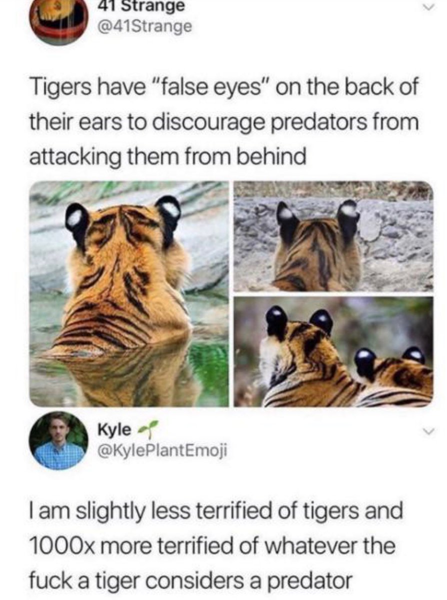 internet hall of fame tweet media