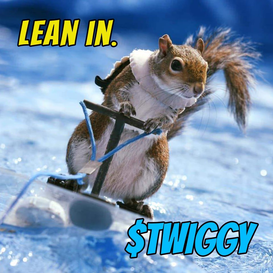 <a href="/jeremybtc/"></a> Imagine buying $TWIGGY

Strongest community out there 🌊🐿️💦💎

<a href="/twiggyonsol/">TWIGGY The Squirrel | FAN Page</a> 

Ca:

nY8XuFsMqM6UTUeubekYUTvvSmX695Zb1oG5EmDpump