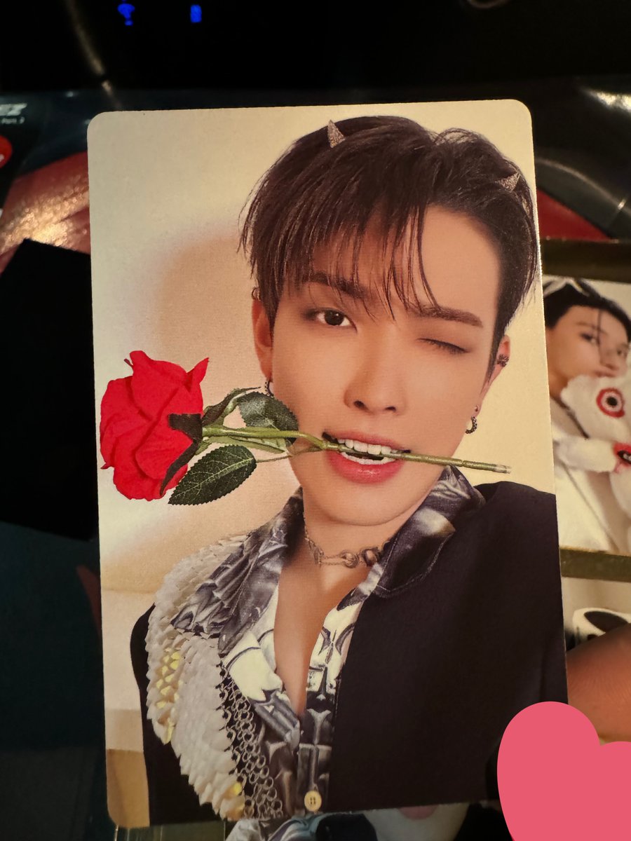 the hongteeth… EXQUISITE LITTLE FANGS