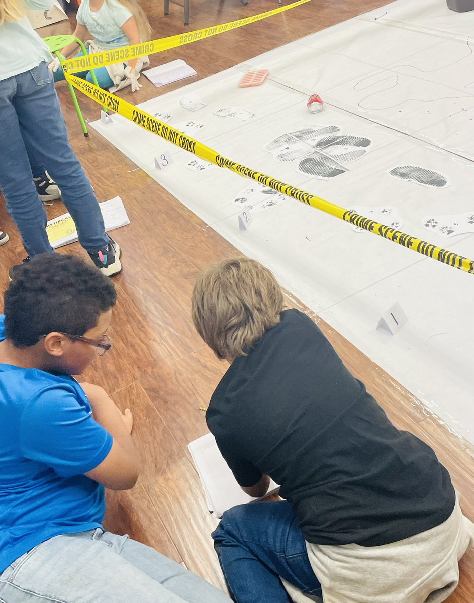 Amelia Evans tweet media