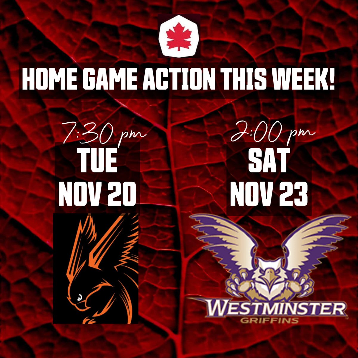 sfu_mbb's tweet photo. Join us this week at Home!
7:30pm - Wed, Nov 20th vs @LangaraFalcons
2:00pm - Sat, Nov 23rd vs @WUGriffins (Utah)
#RepTheLeaf #RedLeafs https://t.co/vvi93JExGJ