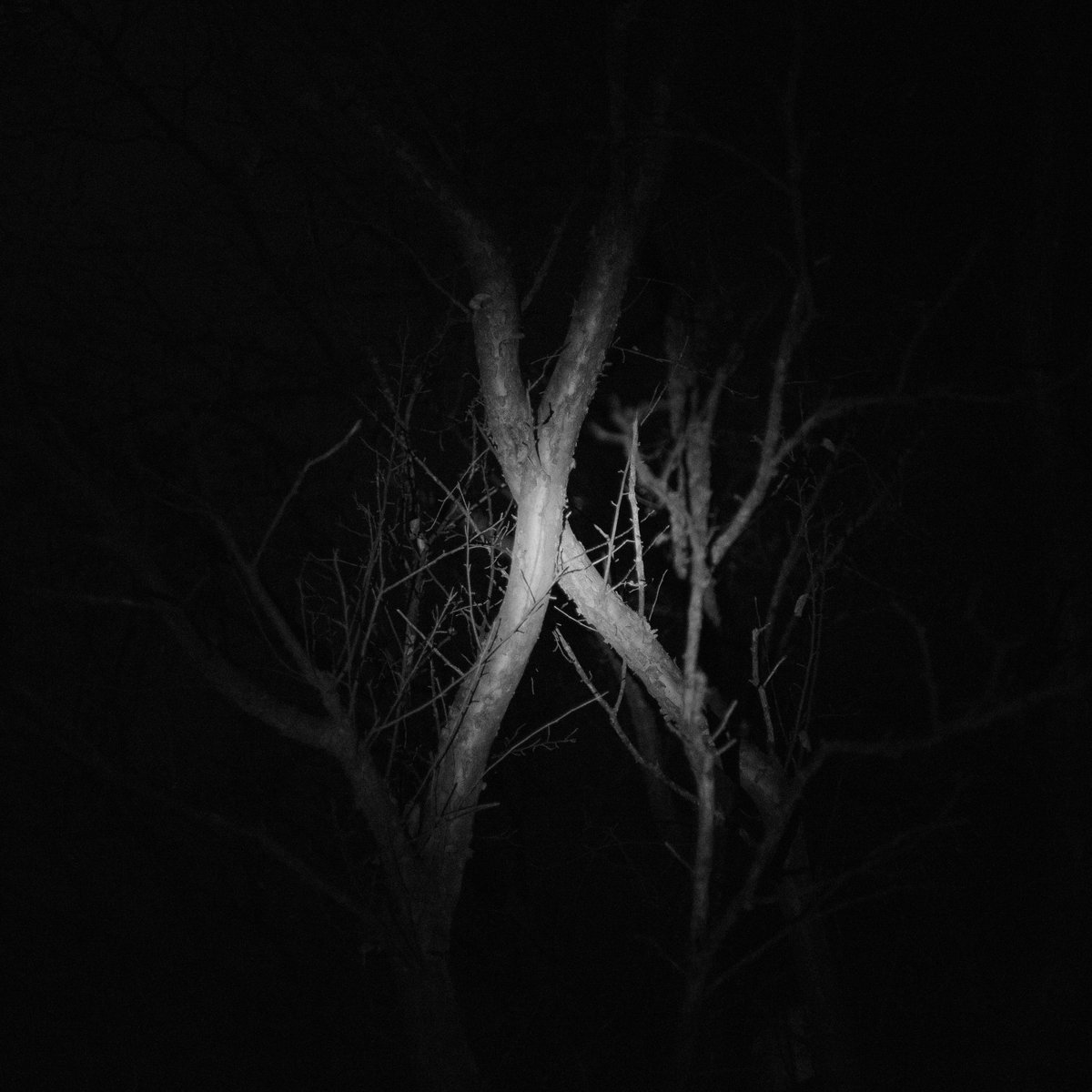 Tyler James tweet media