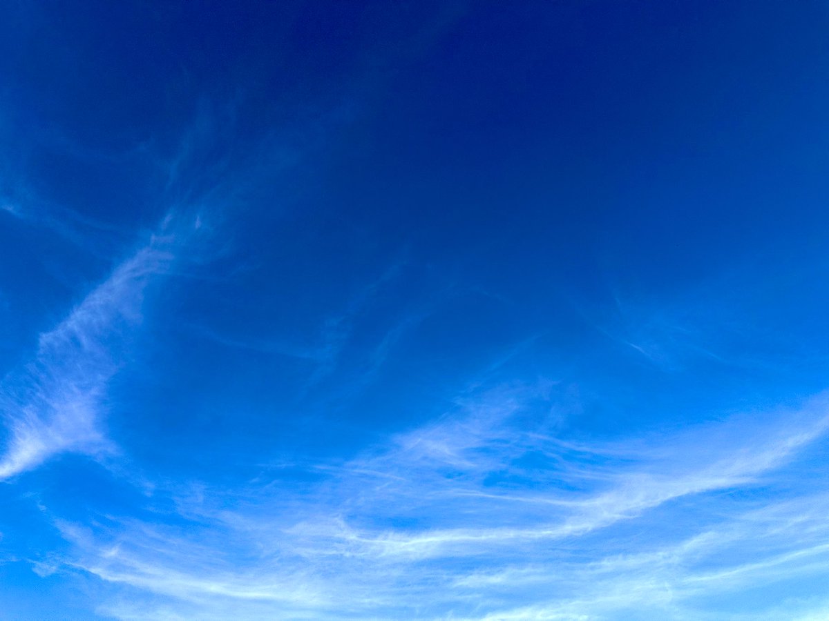 oranda2012's tweet photo. #November17th
#framed_sky https://t.co/LtHEhJJNT8