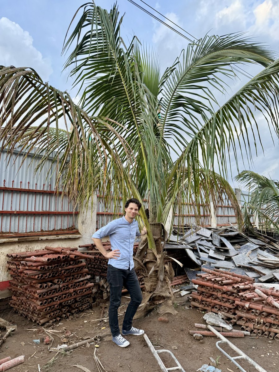tmarki's tweet photo. Six years ago, I planted a row of coconut trees in the garden of the @MalawiRedCross office in Blantyre. 

Seeing them still standing today made me so happy! 🌴 

Although construction is happening on the compound, they've been left in the ground and are doing quite well. https://t.co/MZGbroWL7t