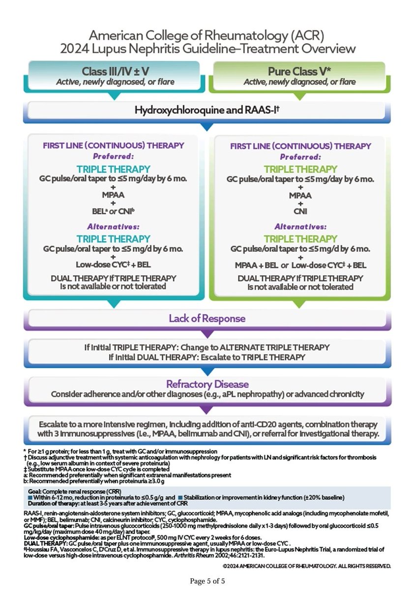 🐺🦋 #Lupus #Guideline 
🔥 Finally its here! 

🌍 #Guideline on #LupusNephritis #2024

🌟Checkout the algorithm of how to approach #LN 

🌟 Triple &amp; Dual therapy defined

🌟 When to #Biopsy?

🌟 How to tackle Refractory LN?
&amp; more..

✅️Check this out now!
#ACR24 #ACRambassador