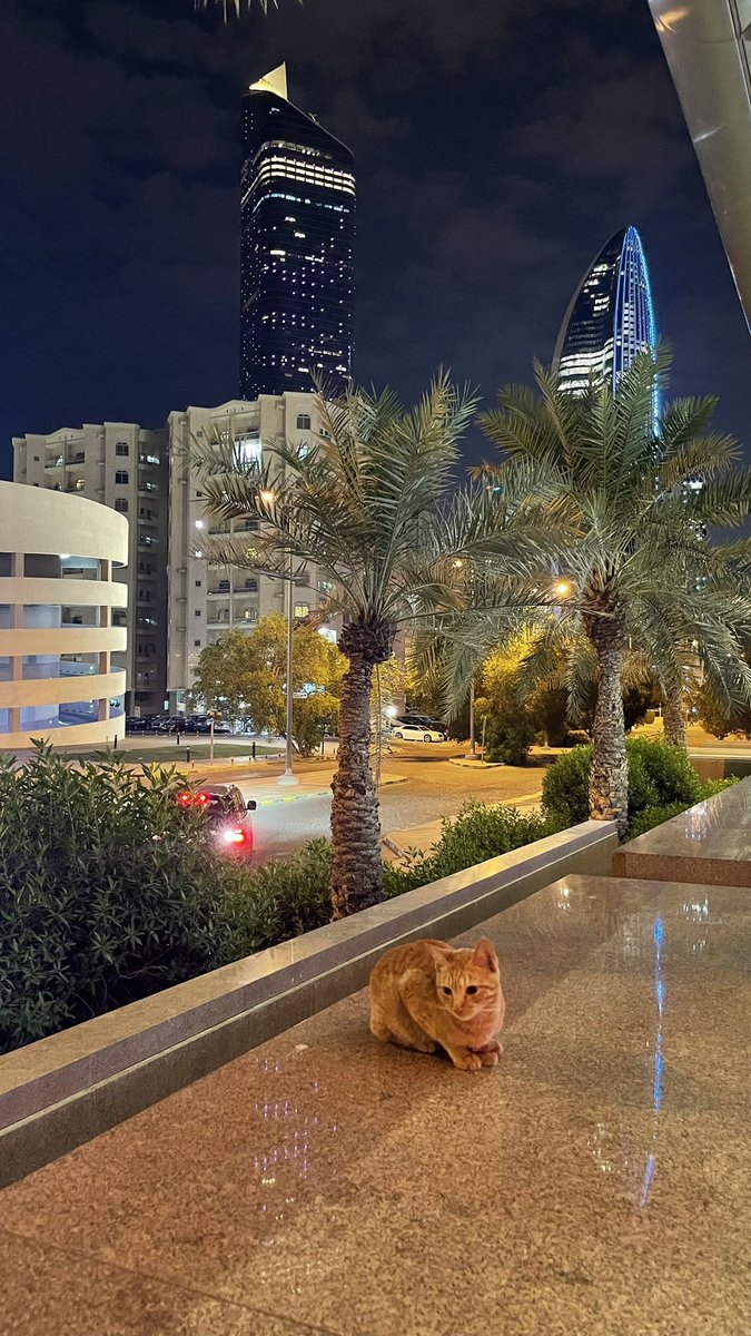 JORAYj22's tweet photo. وَحيدٌ مِنَ الخُلّانِ في كُلِّ بَلدَةٍ
إِذا عَظُمَ المَطلوبُ قَلَّ المُساعِدُ https://t.co/a8oy6BOY2b