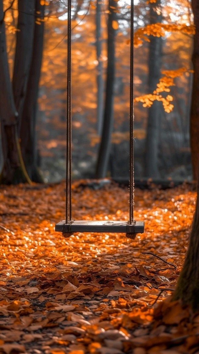 Airfemale14's tweet photo. π§‘ Not Too Many Days Left Of These Beautiful Shots! ππ #NovemberBeauty https://t.co/yzMYLJcLK8