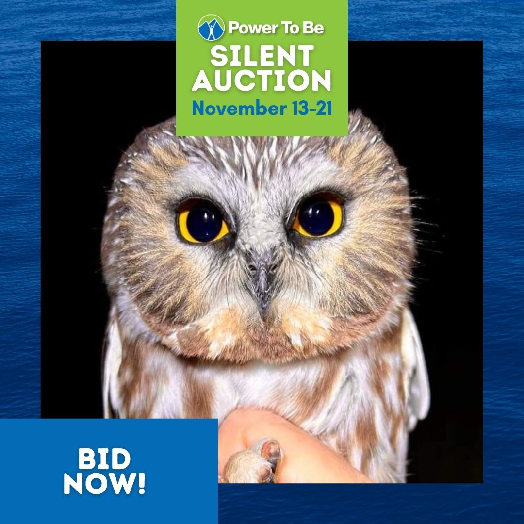 PowerToBe tweet media