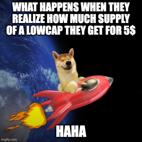 $haha dog tweet media