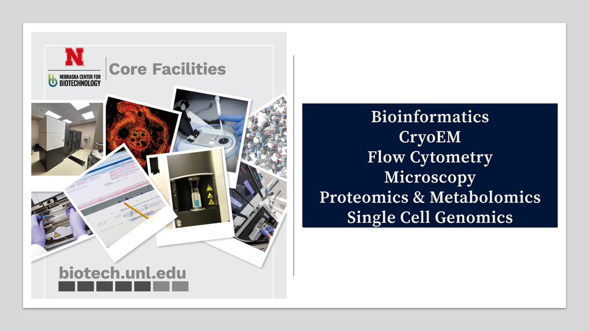 UNL Biotech Center (@biotechunl) on Twitter photo Our services are available to internal and external academic and industry researchers. Connect with our cores today to elevate your research goals!
<a href="/unl_bcrf/">UNL BCRF</a>; <a href="/Cryo_UNLbiotech/">UNL CryoEM Core Facility</a>, #Flow, #Microscopy, <a href="/PMF_UNLBiotech/">UNL Proteomics and Metabolomics Facility</a>, #SingleCell
#biotechmonday Our services are available to internal and external academic and industry researchers. Connect with our cores today to elevate your research goals!
<a href="/unl_bcrf/">UNL BCRF</a>; <a href="/Cryo_UNLbiotech/">UNL CryoEM Core Facility</a>, #Flow, #Microscopy, <a href="/PMF_UNLBiotech/">UNL Proteomics and Metabolomics Facility</a>, #SingleCell
#biotechmonday