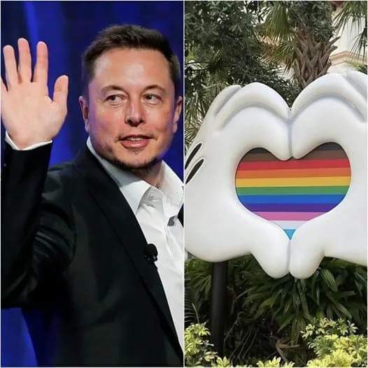 MarioChavis1's tweet photo. #RetweetAllAcrossAmerica Elena Musk (BLOCKS) Disney's
(WOKE) Homosexual Rainbow Flag Colors Stating (WOKE) Is Not For Kids On X. Way To Go Elon 👏 👏 👏 https://t.co/NfiElz99as