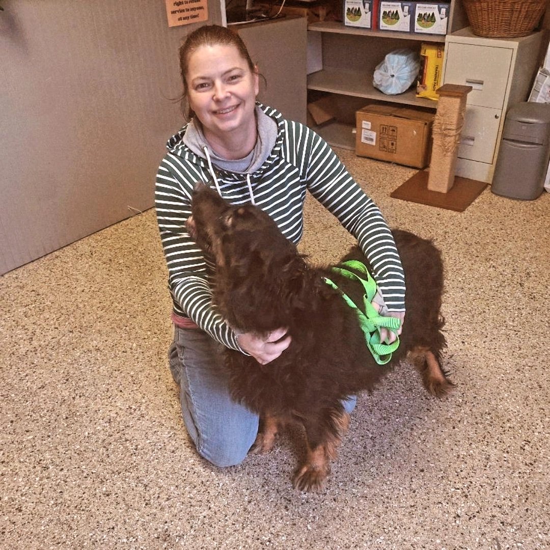 PAWSPendletonOR's tweet photo. We know we had many people interested in Martin, the Gordon Setter. We have transferred him to the Pacific Northwest Gordon Setter Club, which can be found at https://t.co/gME3F7eppp .
#dogs #adoptdontshop #animalrescue #gordonsetter https://t.co/FJCcLX9cQJ
