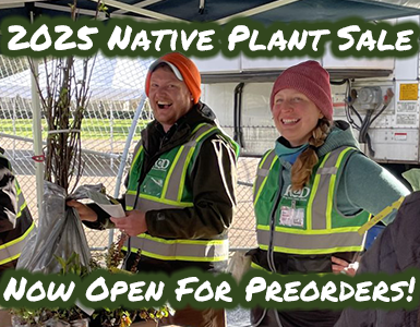 2025 Native Plant Sale is open for preorders! Review the selection and place your order today. Plants are going fast. Pickup is Saturday, March 1, 2025