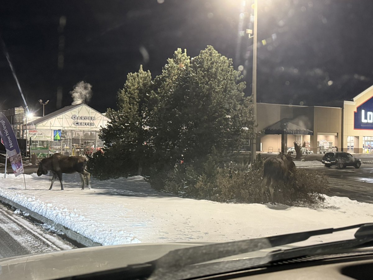 907afa's tweet image. 