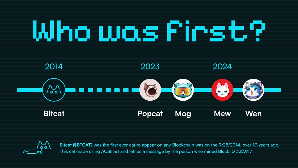 bitkongg's tweet photo. @SteveMorganOk Bitcat is a billion dollar narrative - dyor & tell me im wrong
First Cat on Chain - $btcat
its a great day to #stackcats before the next leg /\_/\ https://t.co/EVBzM9Z2Dz