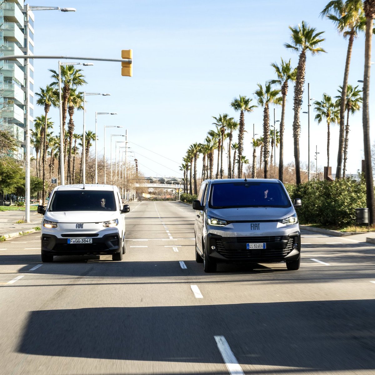 IcamotorGC's tweet photo. Ducato, Scudo y Doblò son la respuesta perfecta para las empresas actuales. 

Tres modelos diseñados para cubrir todas las necesidades profesionales de forma sostenible y eficiente. 🚐⚡

#Icamotor #GamaFiatProfessional #FiatProfessional #NuevoDoblò #Autónomos #Empresas #Familias https://t.co/LSJvvNX33X