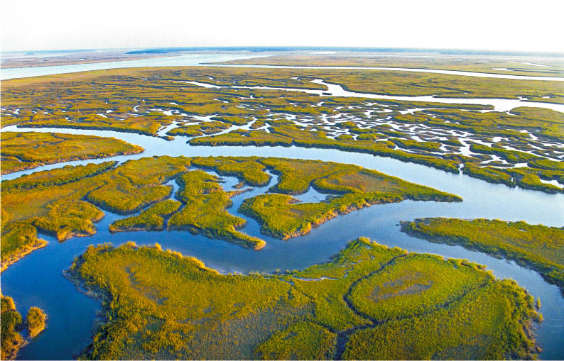 Researchers at will test the safety and efficacy of enhanced weathering of rock-forming mineral olivine in #wetlands for carbon dioxide removal and local-scale #OceanAcidification mitigation.

oceanacidification.noaa.gov/funded-project…

#mCDRMondays #mCDR