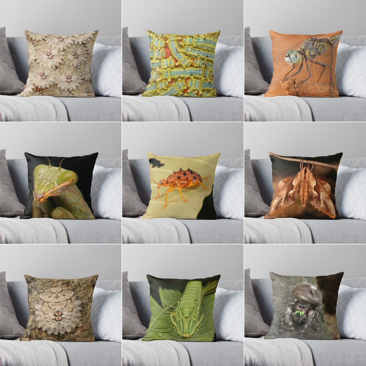 John Horstman tweet media