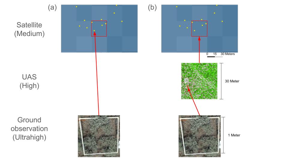 WildcatTao's tweet photo. Our new paper shows how high-resolution multispectral drone imagery can effectively map vegetation cover in spatially heterogeneous landscapes https://t.co/OGX6ud2dE5 https://t.co/oA5Xeadob5