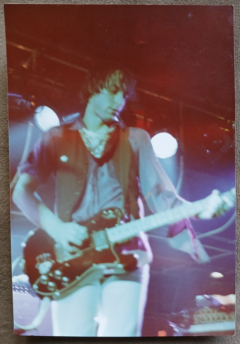 Lou Papineau tweet media