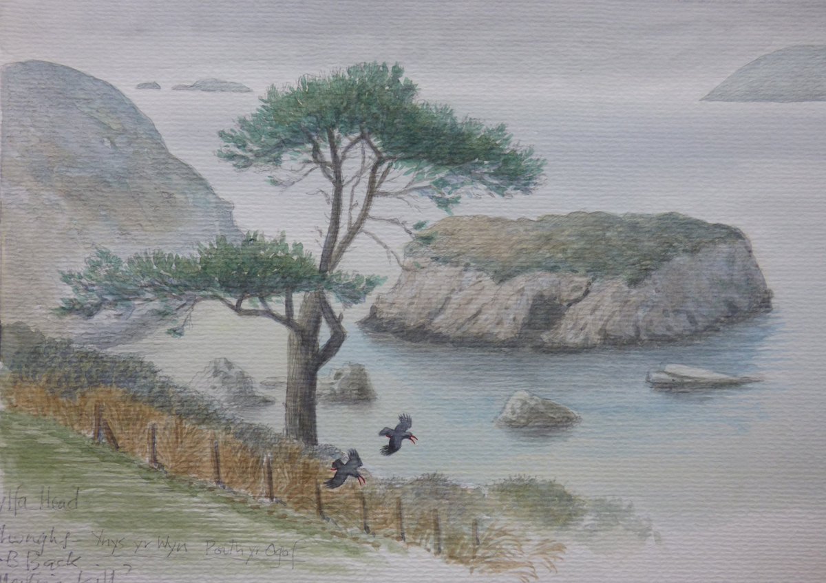 philipsnowart's tweet photo. A few recent sketches, largely from life &amp; memory - plus a bit of imagination in the Cob Grey Heron's expression as the Kingfisher whizzed past the other day.... Ynys yr Wyn on Wylfa Head with Choughs..... Greenshank &amp; stalker Redshank on thr Cob - two pairs!....plus Red Kite etc https://t.co/vQ6R8NjsWZ