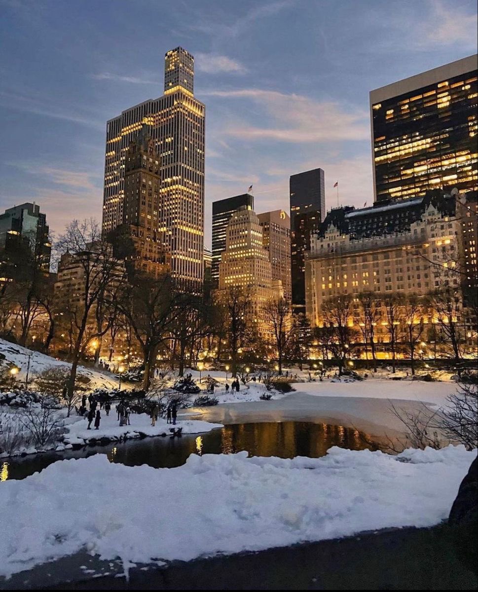 girlinfairy's tweet photo. christmas in new york 🌲❄️🪵🧸 https://t.co/wMLnJyw2KN