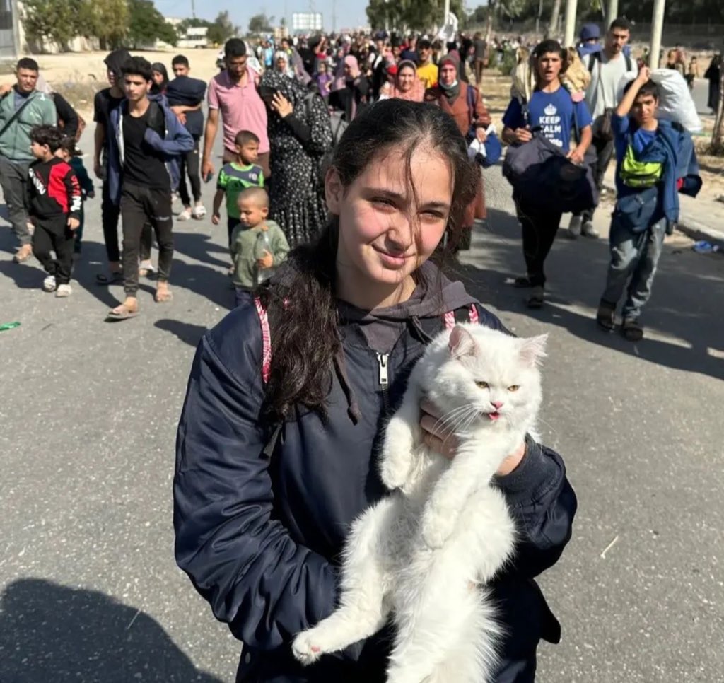 Dr. Yousef 🇵🇸 tweet media