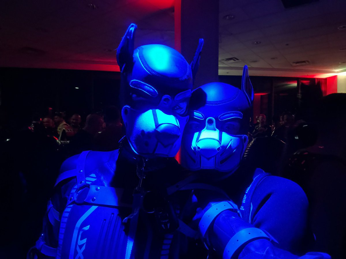 come join all the puppies in that new blue place :3 novasub.dog - pupzen.dog <a href="/Pup_Zen96/">Zen ➡️ FWA 2025 & MIR29</a>