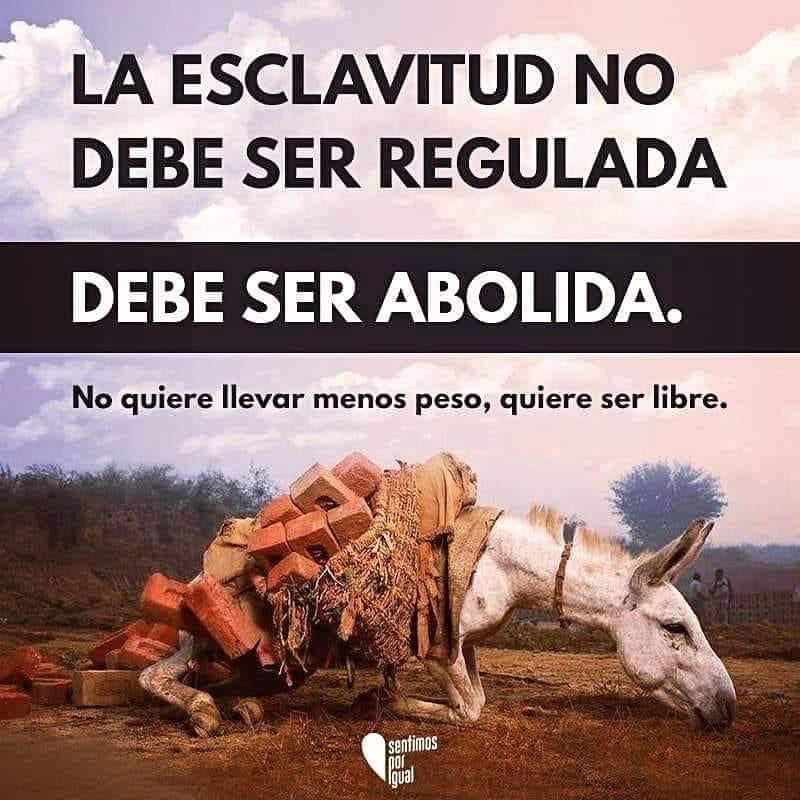 mayumiguillen's tweet photo. https://t.co/zwucd0mWQz