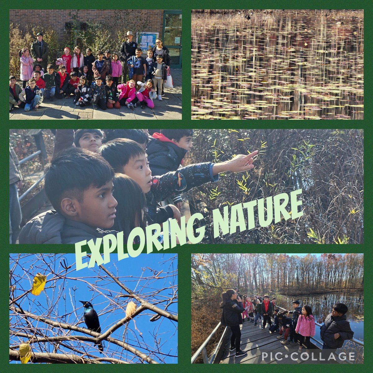 ChrisSalt9's tweet photo. Plant and Animal lessons at Blue Heron Park @ladybug548 @LauraMahon20 @nycparks @nycschools #stem54 #amplify #learningoutside #parks #scienceonthego🌎 https://t.co/z5WPEf82ue