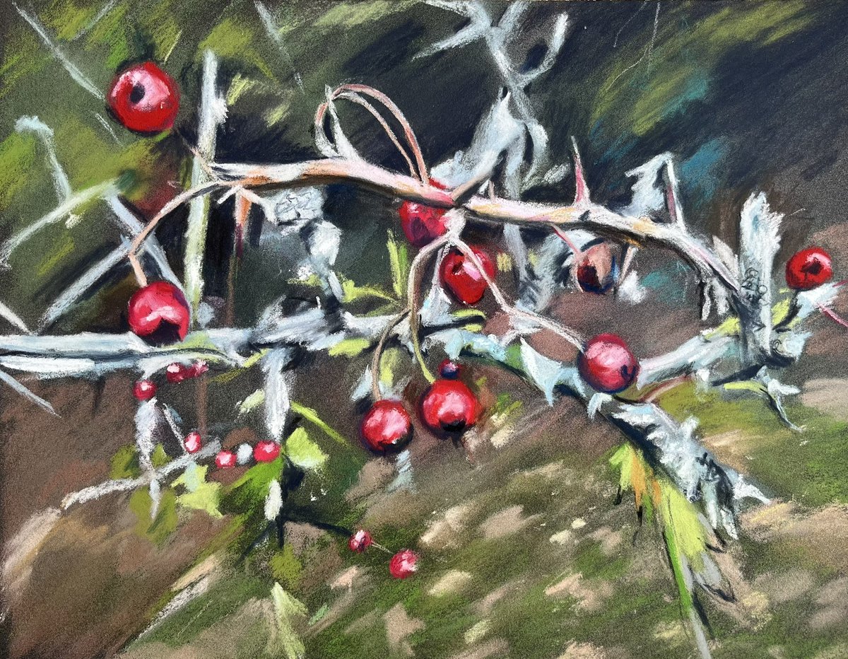 ElizabethL86087's tweet photo. Good evening @GraniteElements my latest offering a small pastel sketch on black pastelmat, hawthorn berries 
Once again hope to have these printed as cards and proceeds go to brain tumour research #mycreativeweek #pastelart #hawthornberries #braintumourresearch https://t.co/8kifvVJk4r