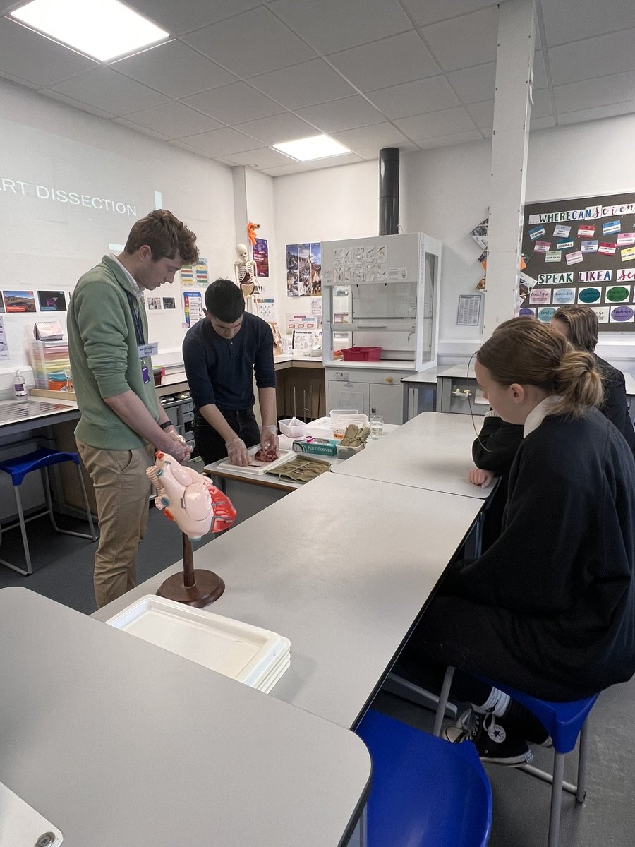 Mintlaw Science (@mintlawsci) on Twitter photo Kicking off a snowy Monday morning with a heart dissection with our AH biologists! Thanks to our fab visiting medics for giving us a great refresher in heart anatomy and health π©Ί <a href="/AbdnLifeScience/">UoA Medicine, Medical Sciences and Nutrition</a> #LearningTogether Kicking off a snowy Monday morning with a heart dissection with our AH biologists! Thanks to our fab visiting medics for giving us a great refresher in heart anatomy and health π©Ί <a href="/AbdnLifeScience/">UoA Medicine, Medical Sciences and Nutrition</a> #LearningTogether